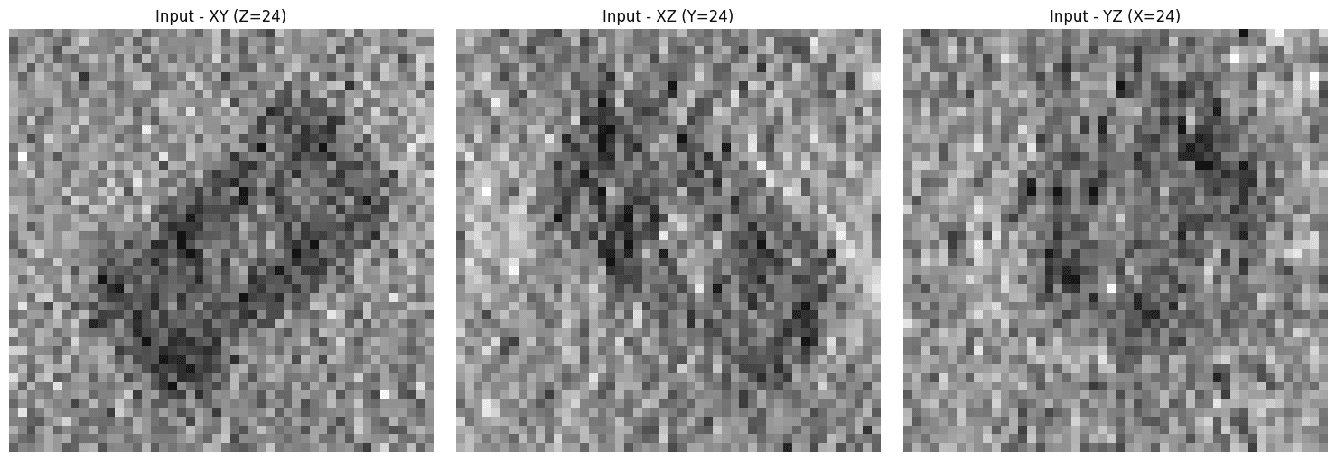Three input orthoview panels