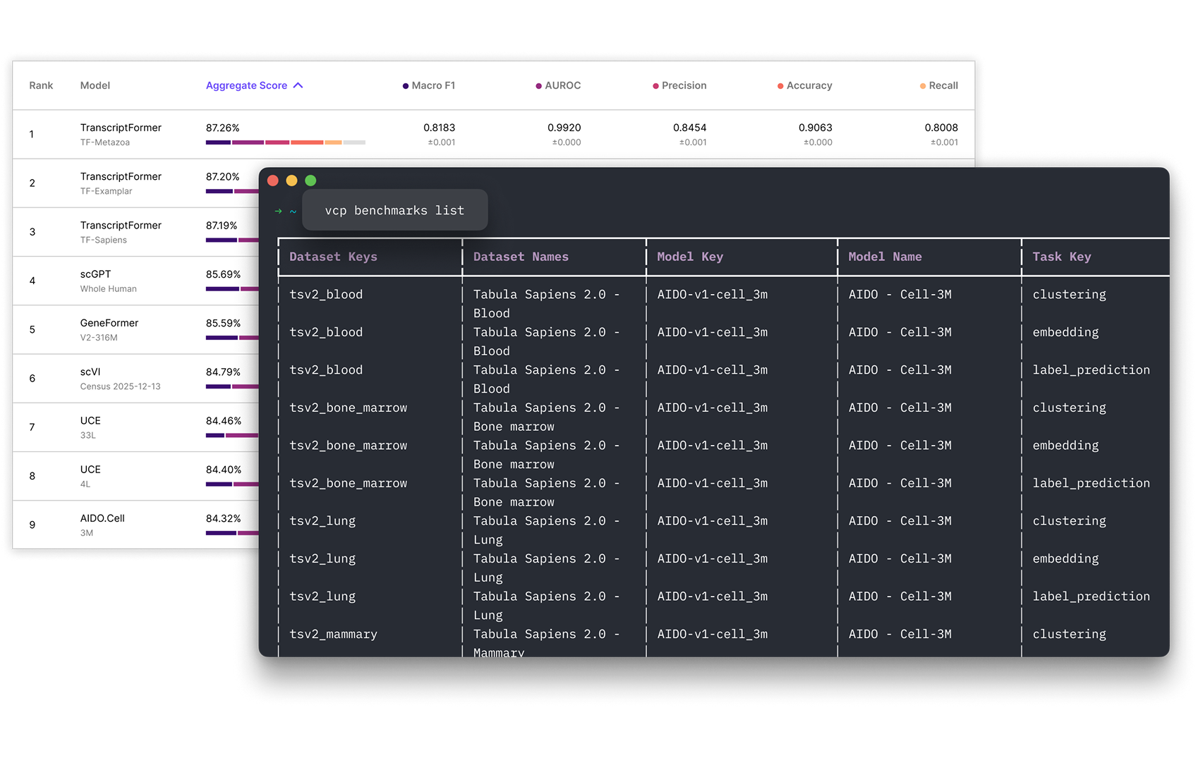 Benchmark leaderboard and CLI table showing model rankings and dataset-task mappings for biological data analysis.