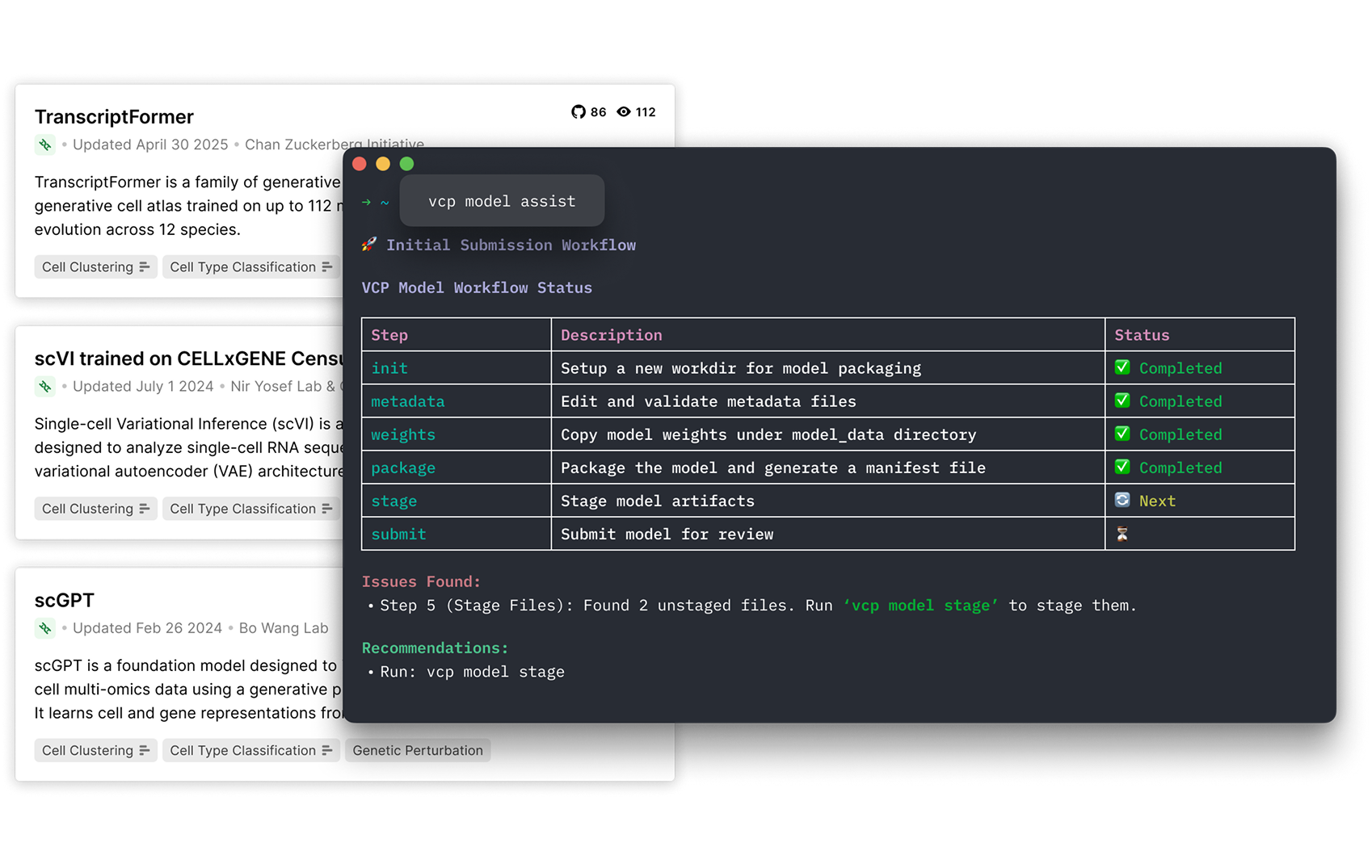 Model packaging workflow showing completed steps and staging issue in CLI, with model descriptions listed alongside.